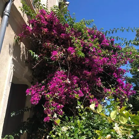 L' Ilot Des Iles 3* Cuxac-dʼAude